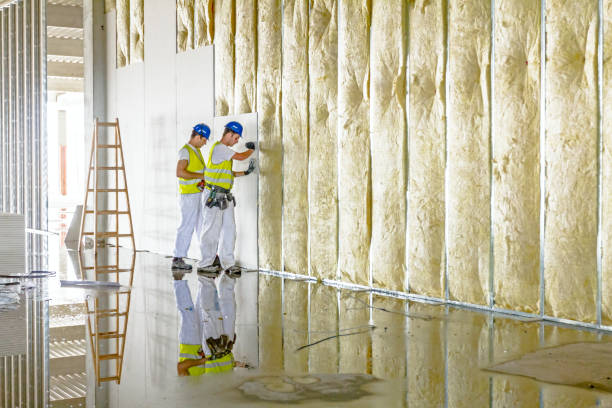 Best Eco-Friendly or Green Insulation Solutions  in Glenwood Landing, NY